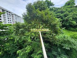 Blk 42 Telok Blangah Rise (Bukit Merah), HDB 3 Rooms #433328201